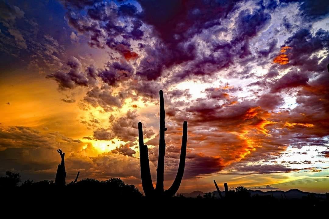 Wise Realty AZ, Inc., photo 3