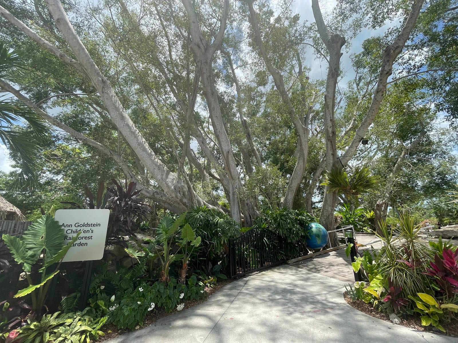 Children's Rainforest Playground
