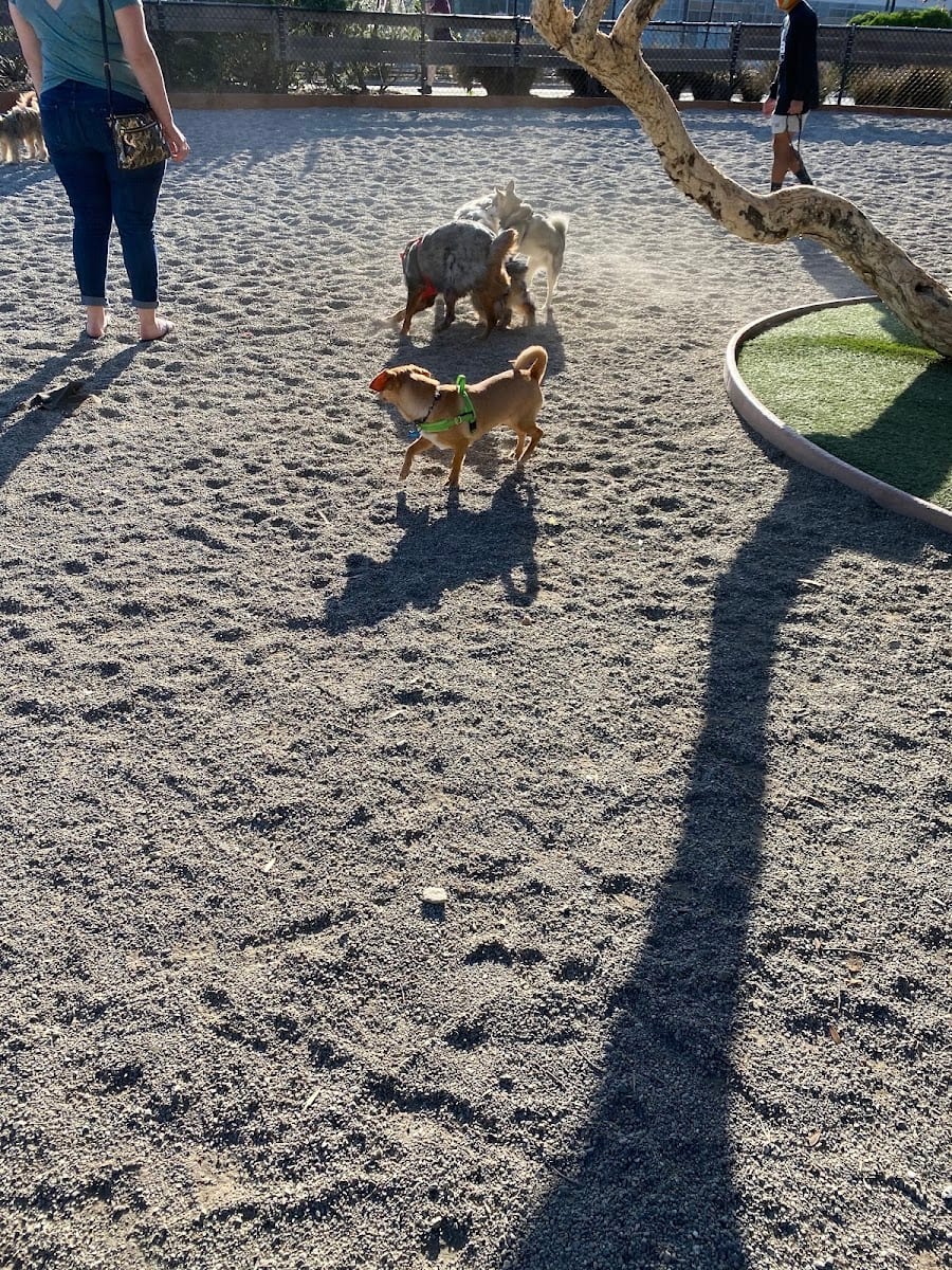 Mission Creek Dog Park, photo 2