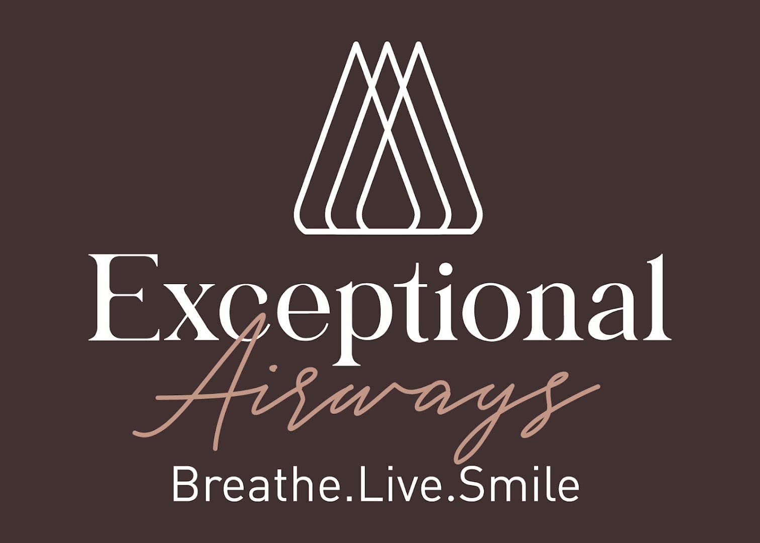 Exceptional Airways LLC, photo 2