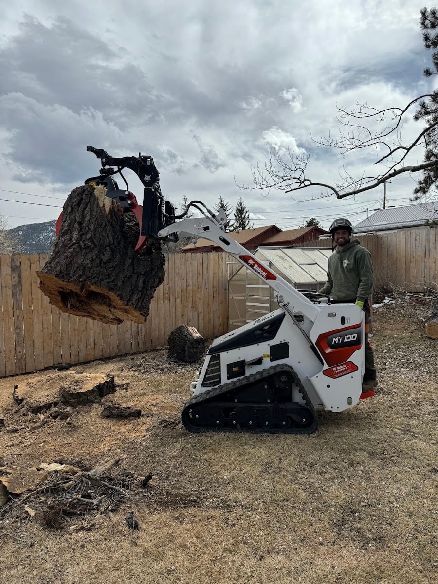 Alpine Tree Service, Estes Park, photo 4