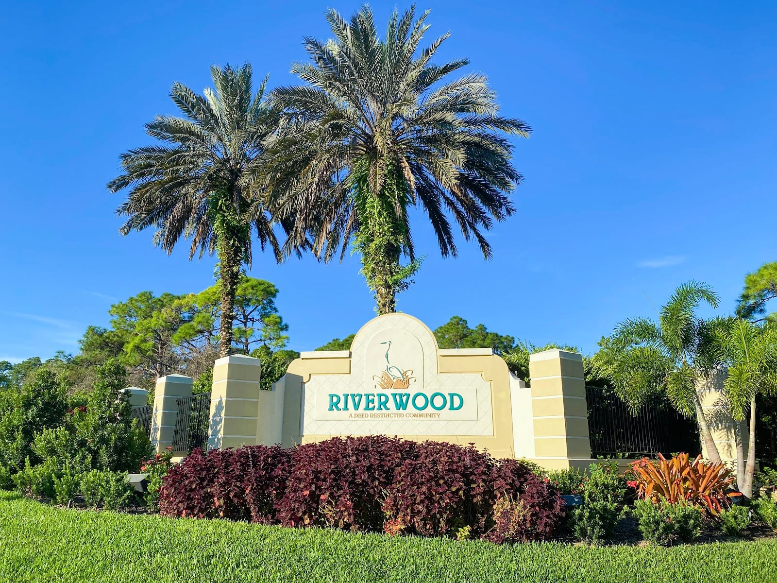 Riverwood Realty