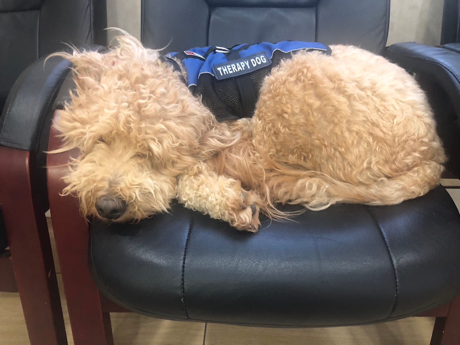 Comfortable Care Dental, photo 3