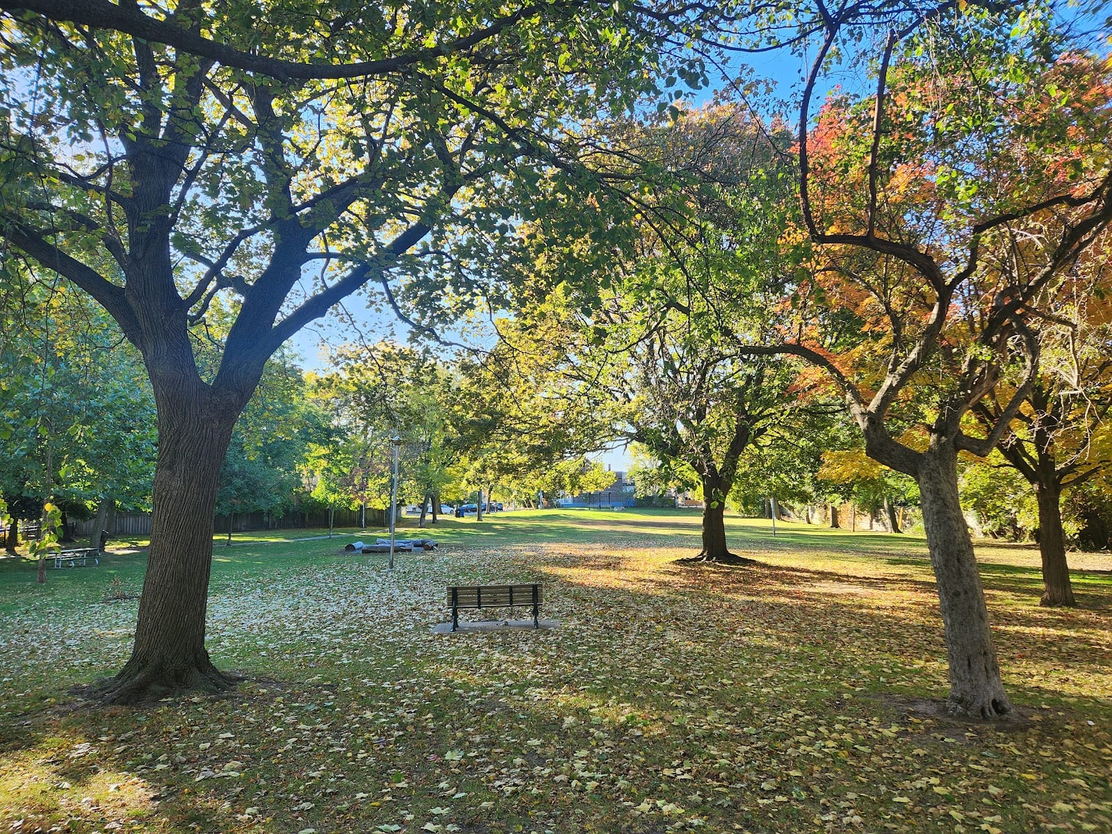 Orchard Park