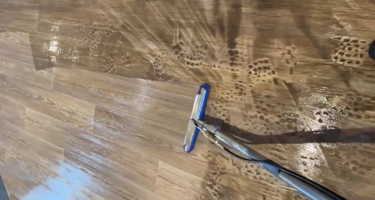 Mackay Carpet Care & Restoration Services, photo 3