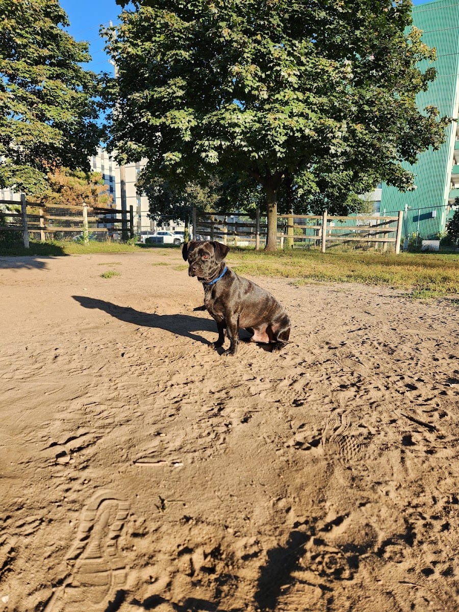 Woolner Dog Park