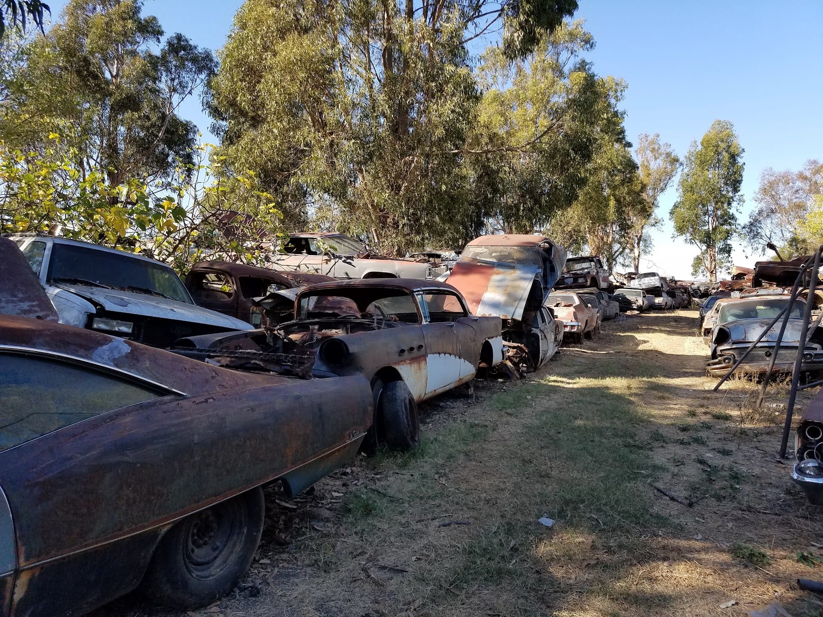 Eco Auto Dismantling