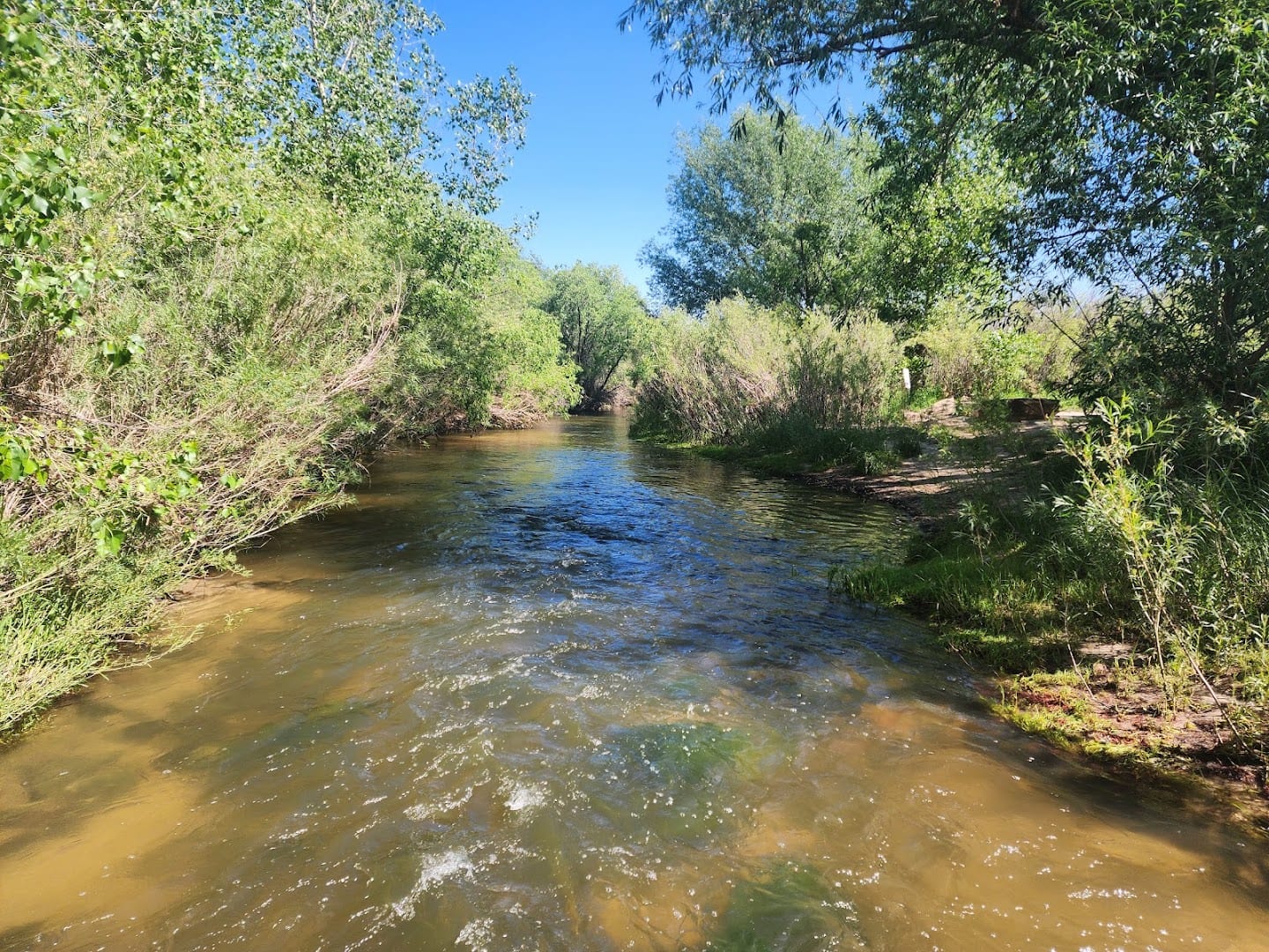 Cherry Creek Valley Ecological Park, photo 4