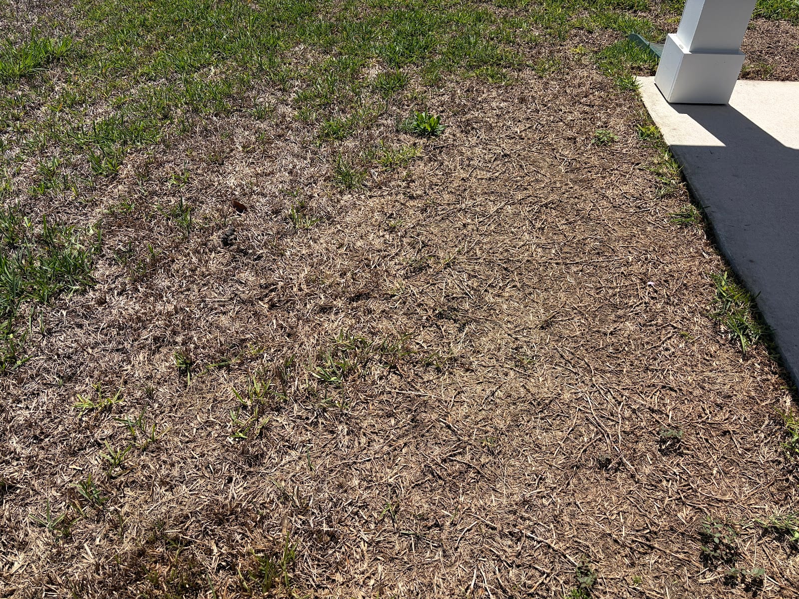 Agrowpro, photo 3