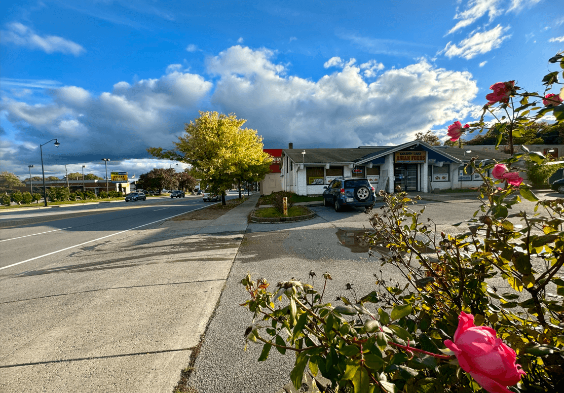 Golden Lake Asian Foods, photo 4