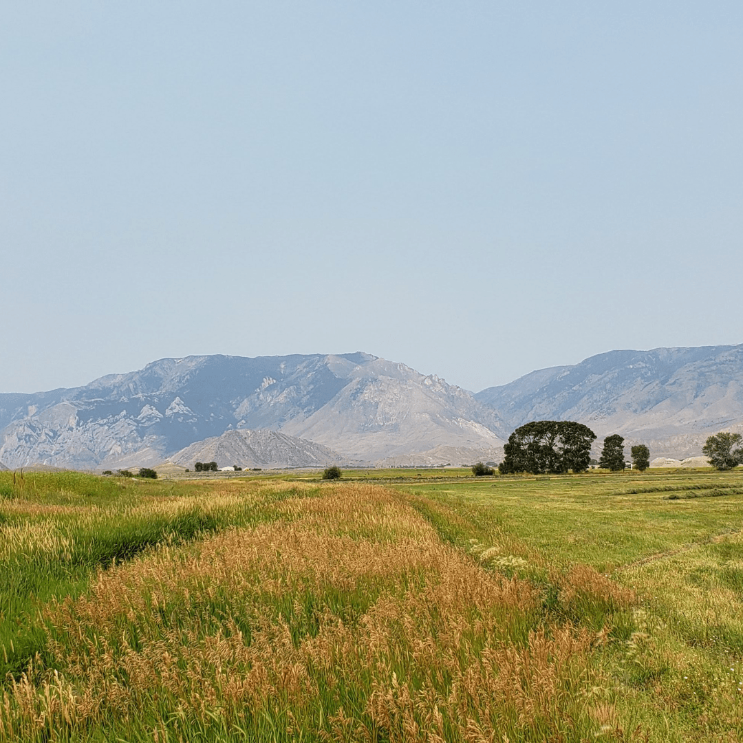 United Country Real Estate | Zarello Land & Legacy