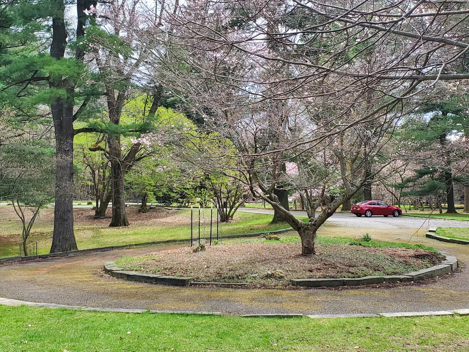 Durand Eastman Park Arboretum