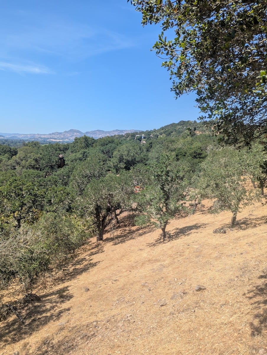 Montecito Fire Road Trail, photo 2
