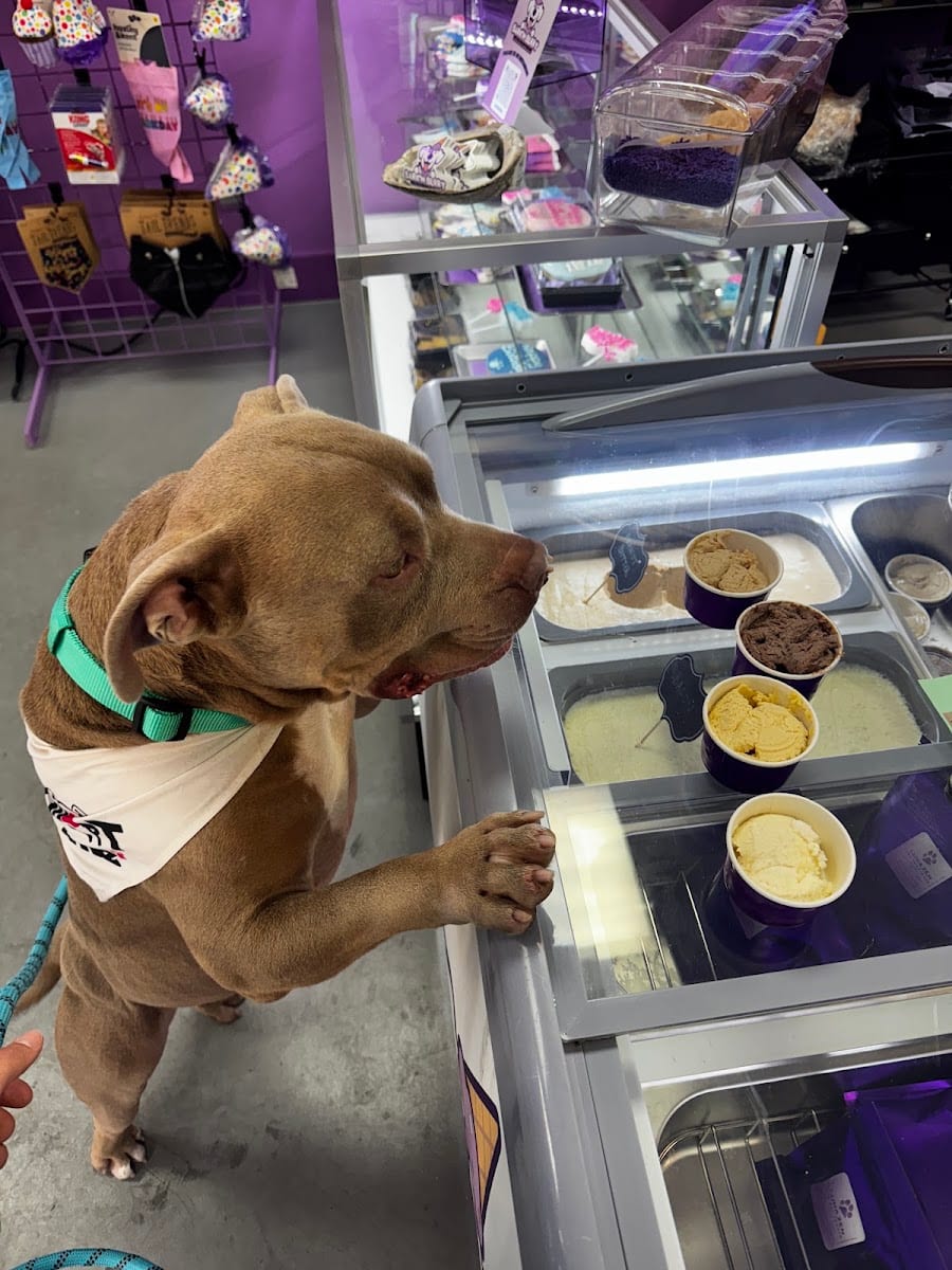 BARK 'N BERRY