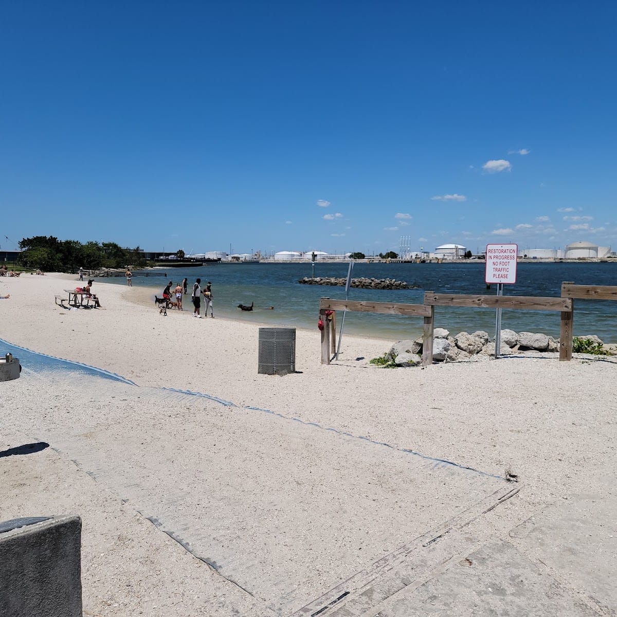 Davis Island Dog Park