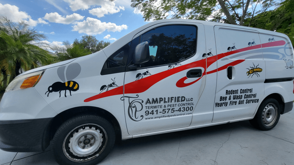 Amplified Termite & Pest Control LLC, photo 3