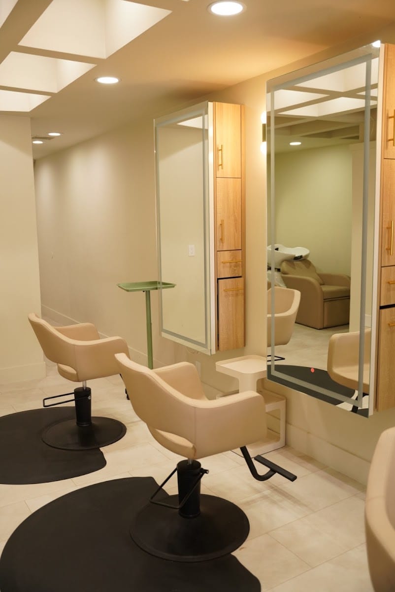 VOLT Salon II
