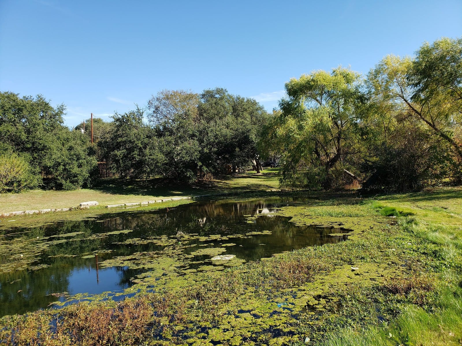 Bradford Park
