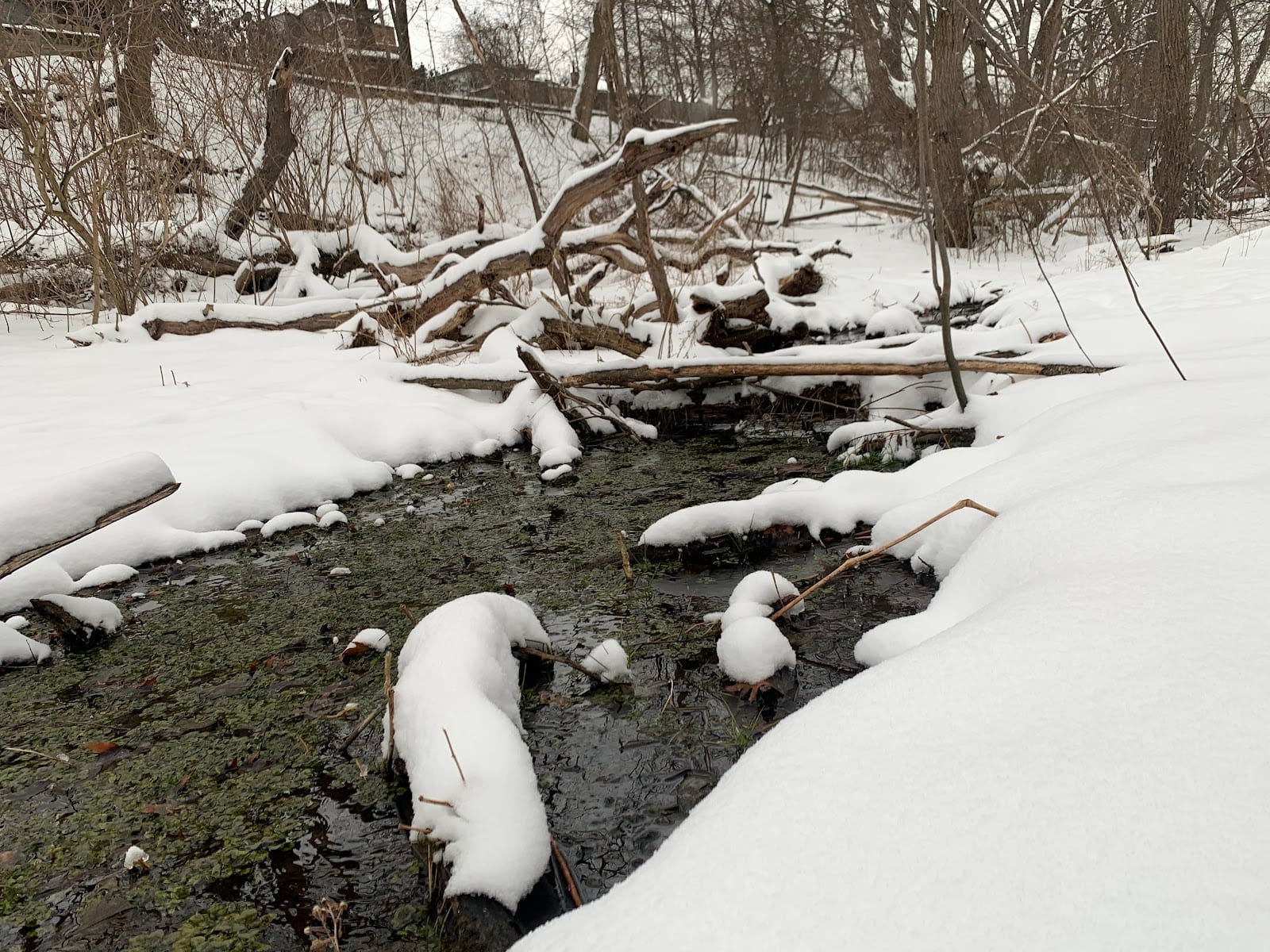 Merrill Bridge Road Park, photo 2
