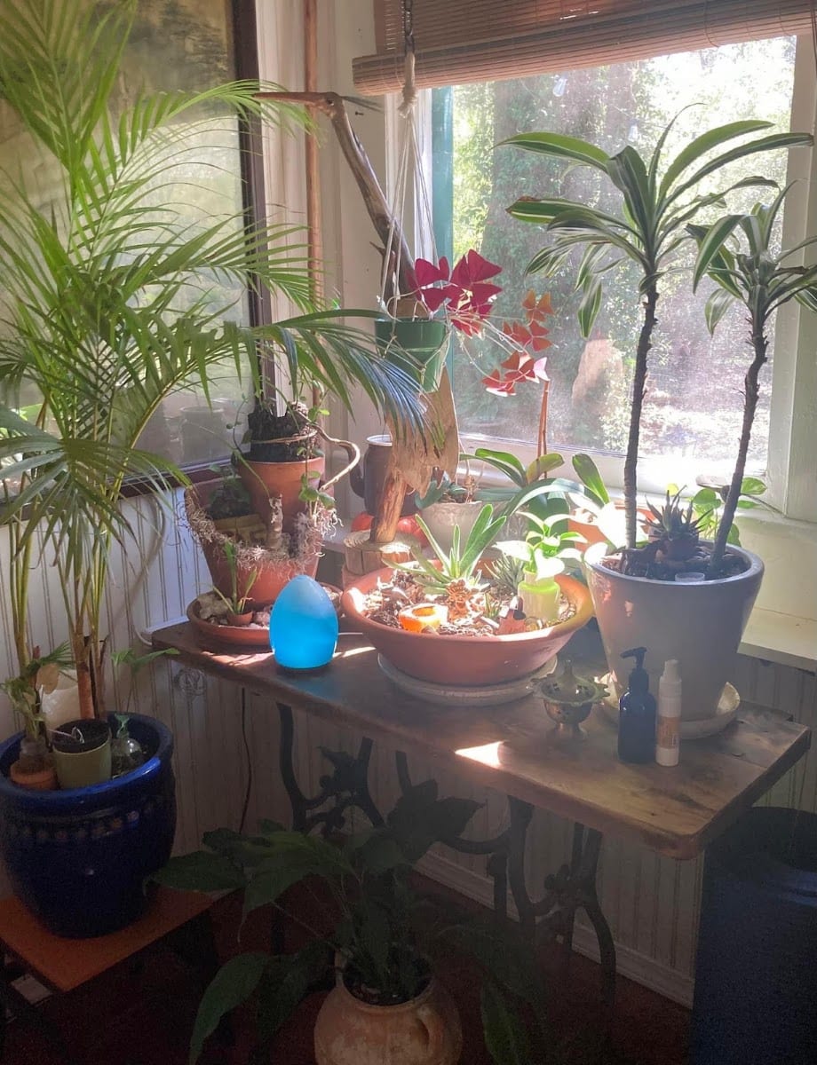 Haas Healing Arts, LLC, photo 4