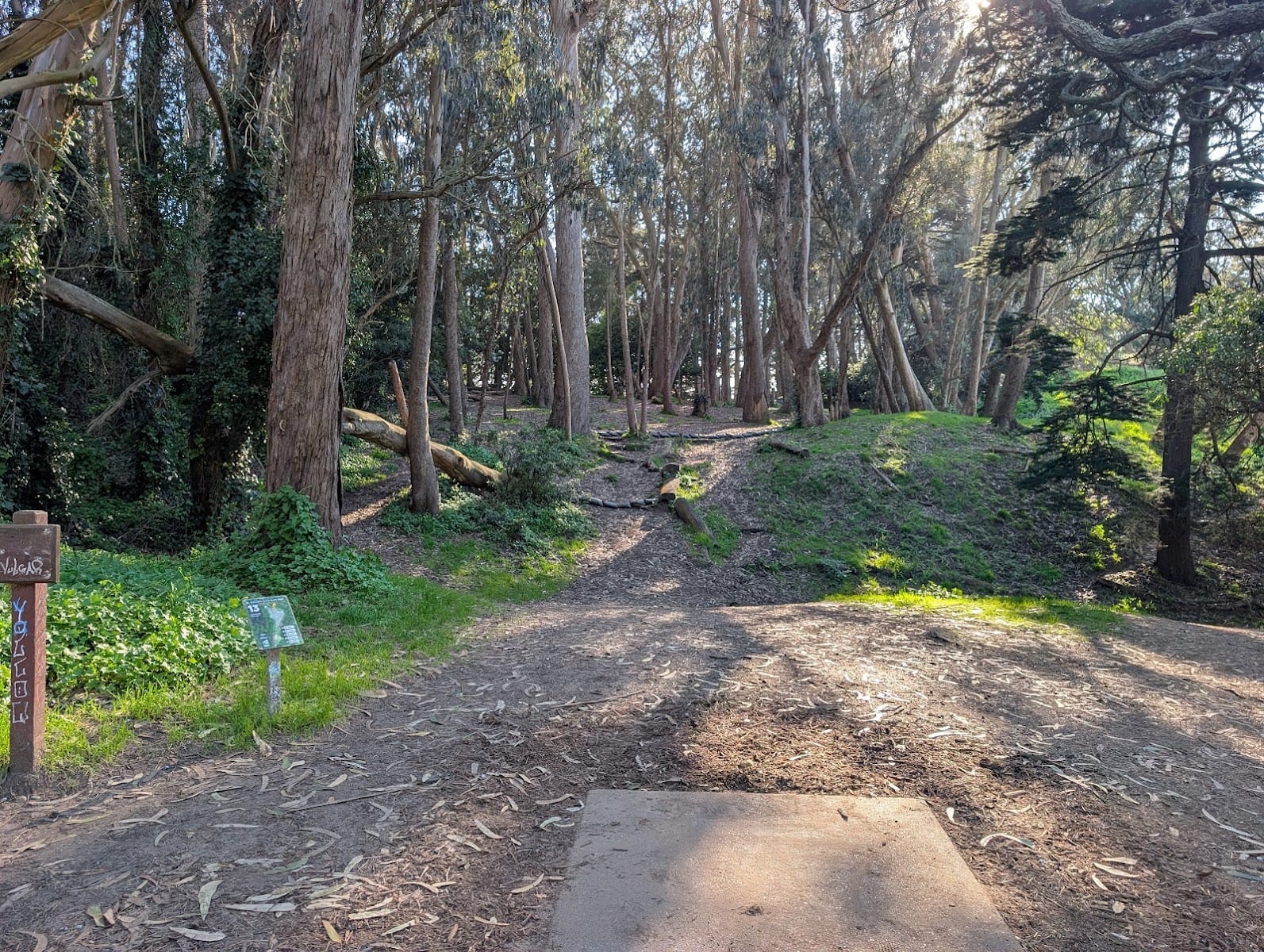 Golden Gate Park Disc Golf Course