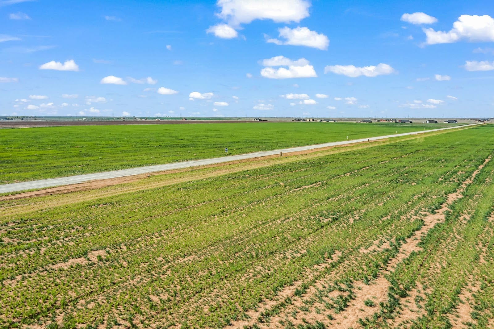 Lubbock Rural Land, photo 4