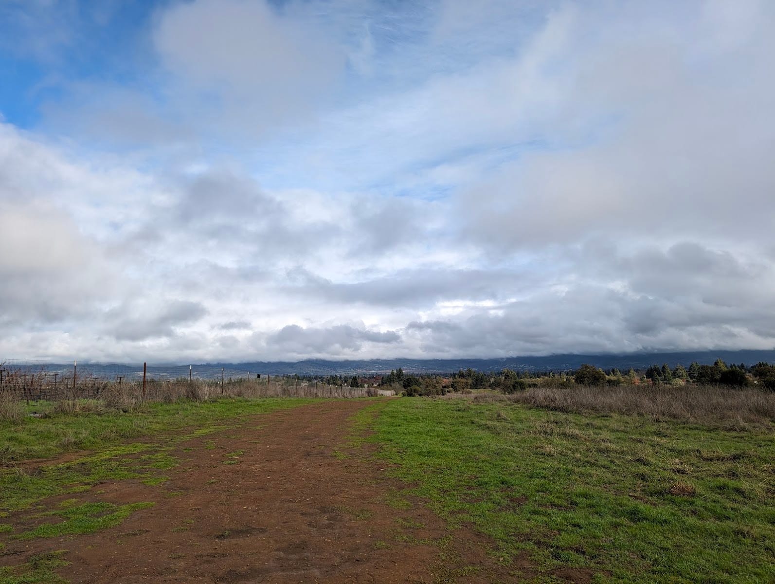 Alston Park Off-Leash Dog Area, photo 3