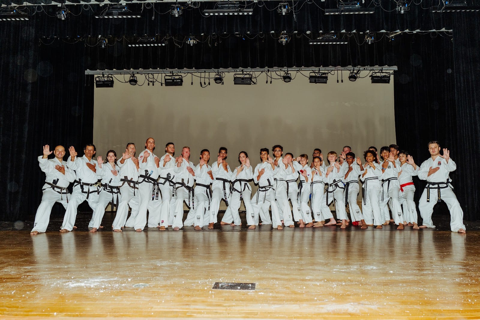 Traditional Tae Kwon-Do Tampa Palms, photo 2
