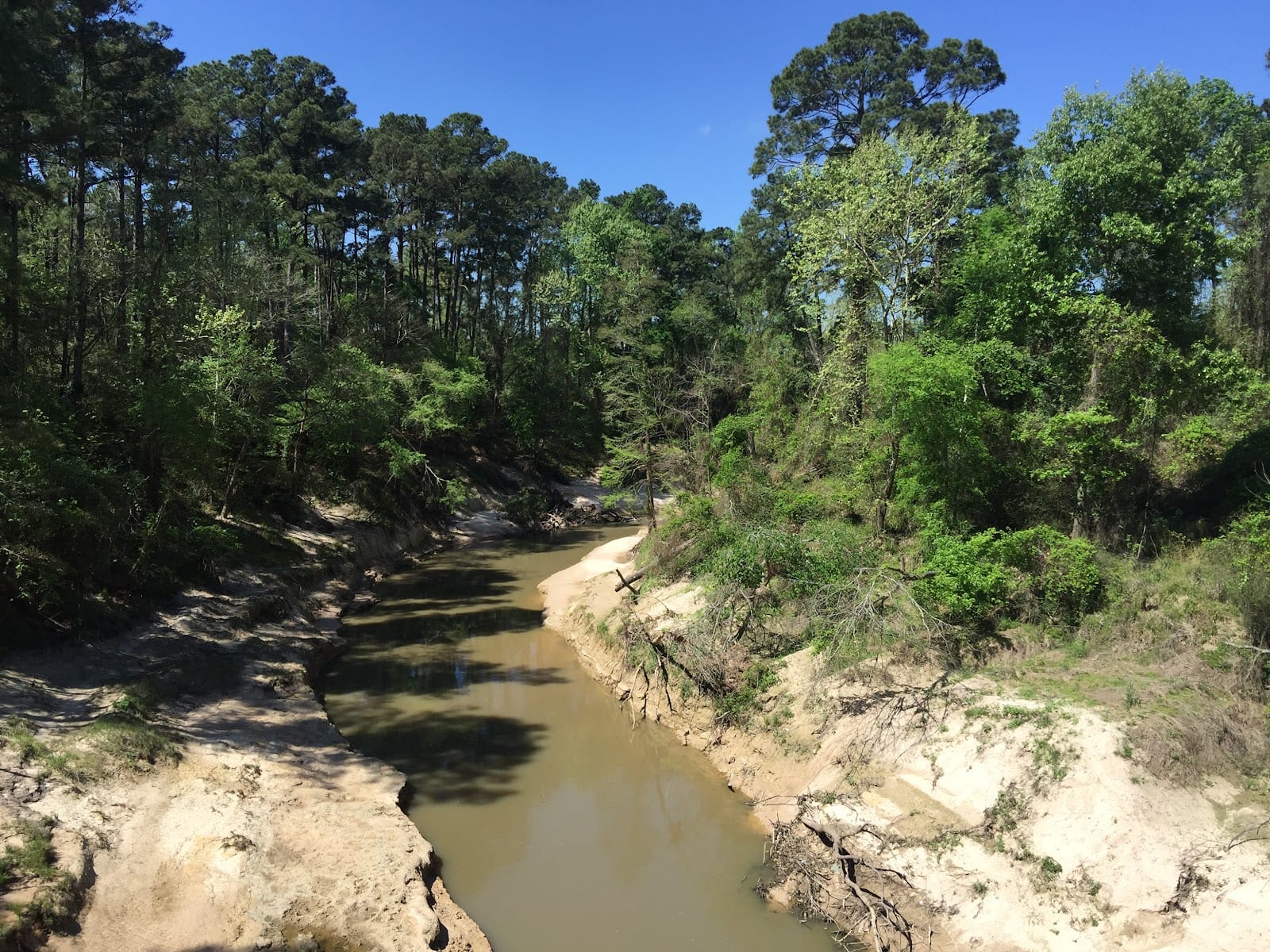 Timber Lane Hike & Bike Trail