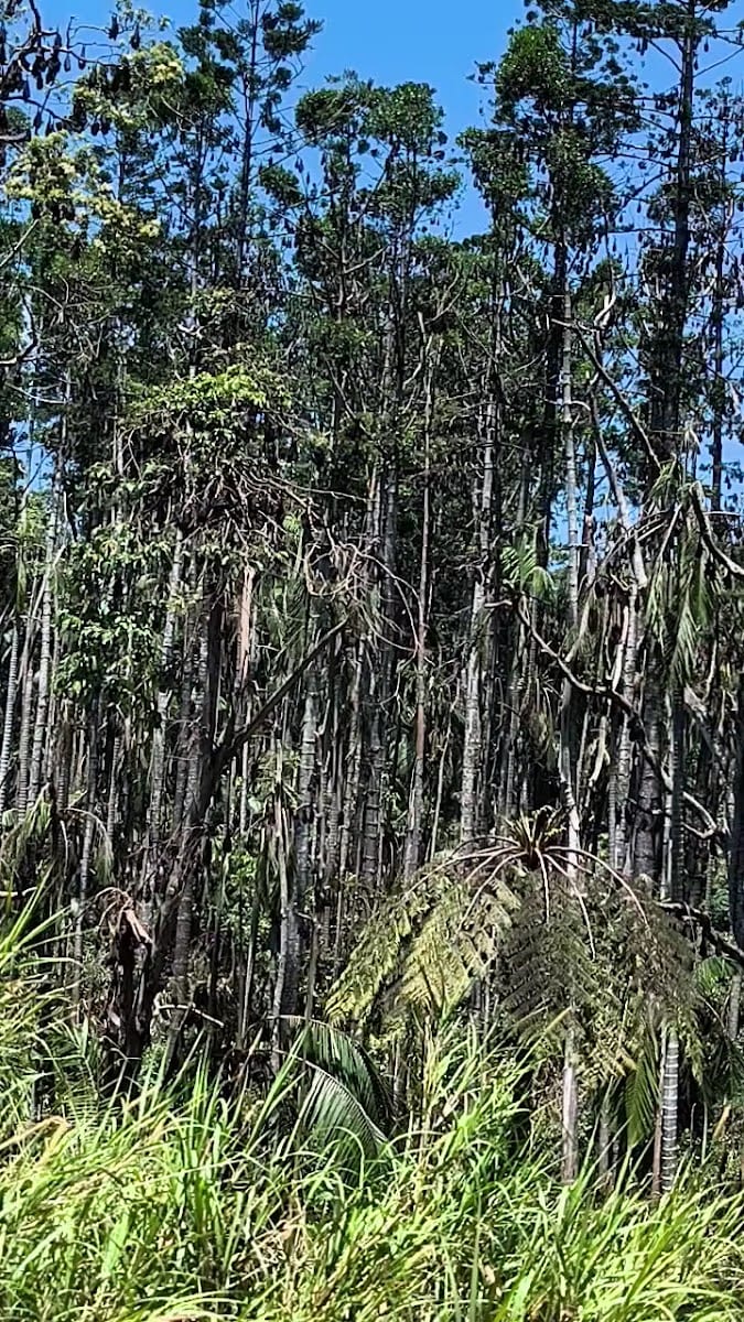 Pine Grove circuit, photo 2