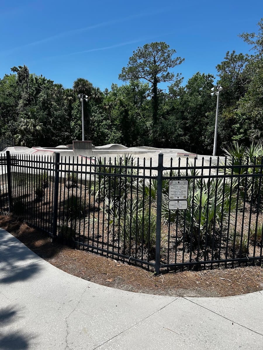 New Tampa Community Park, photo 3