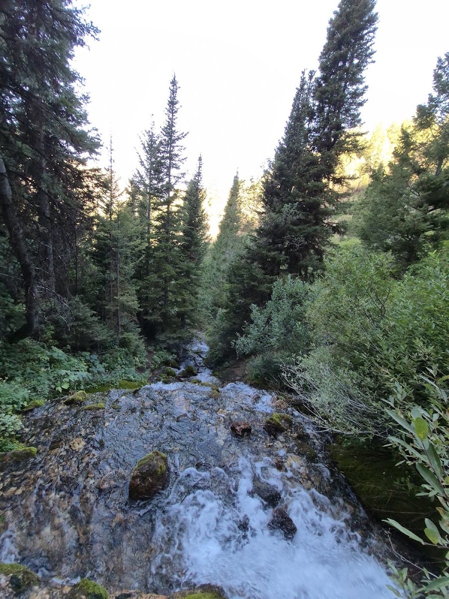 Middle Fork Waterfall, photo 3