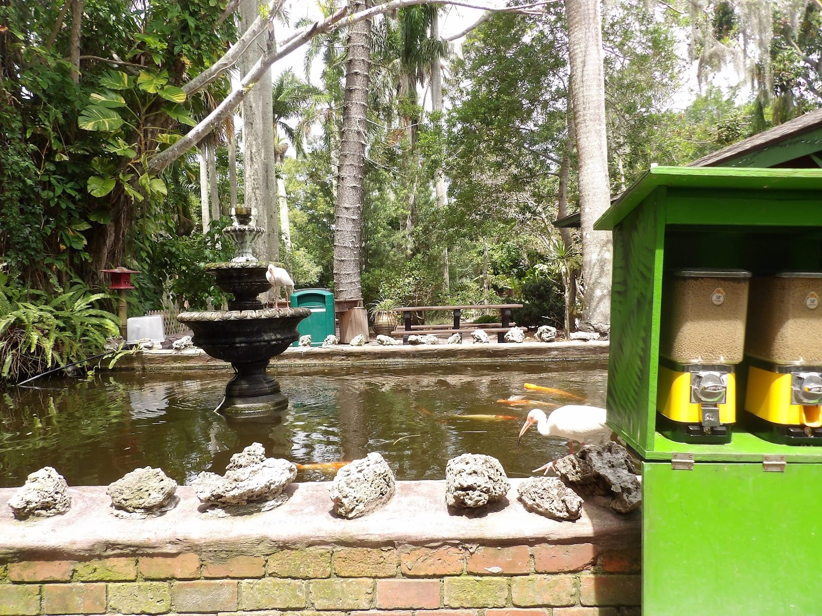 Flamingo Cafe, photo 2