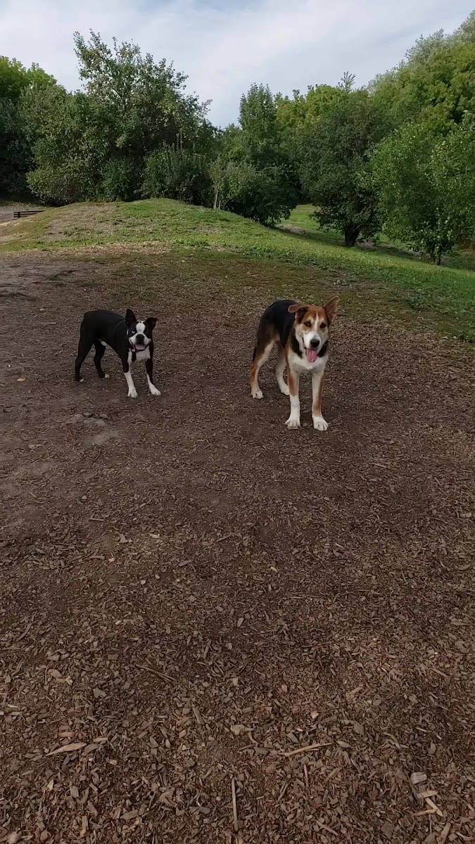 Tower Hill Dog Park