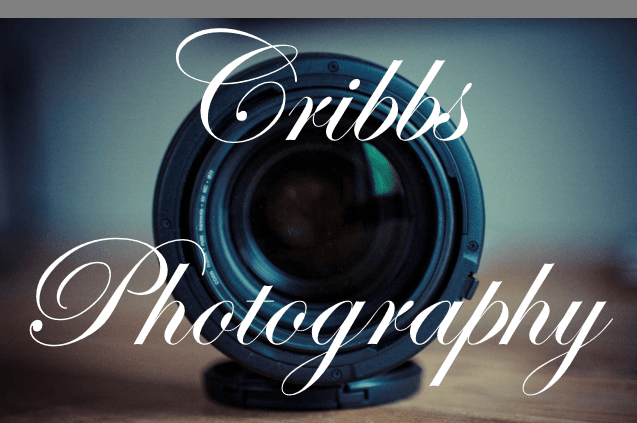 Cribbs Photography