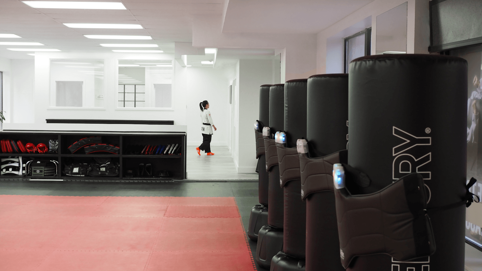 North York Taekwondo, photo 3