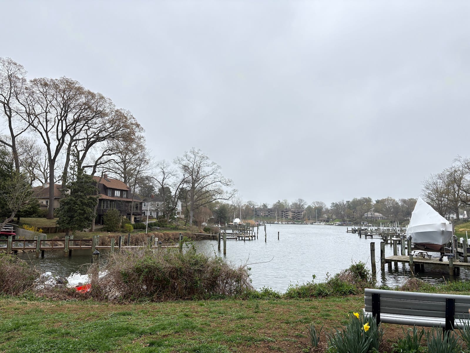 Lafayette Waterfront Park, photo 3
