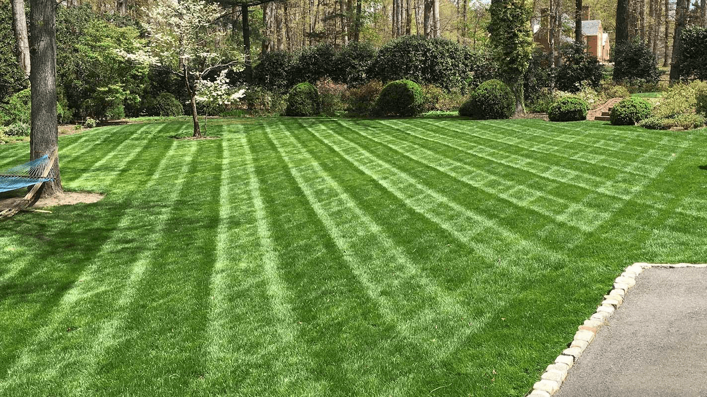 We Kare Lawn Service Llc, photo 2