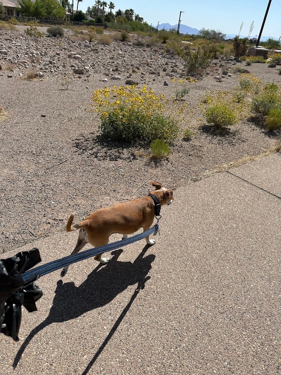 Hualapai Park, photo 3