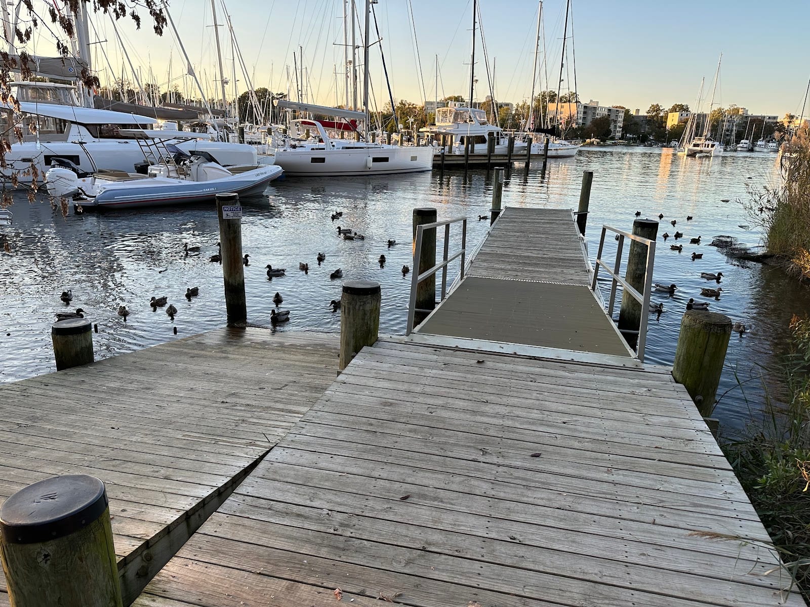 Ellen O Moyer Nature Park, photo 2