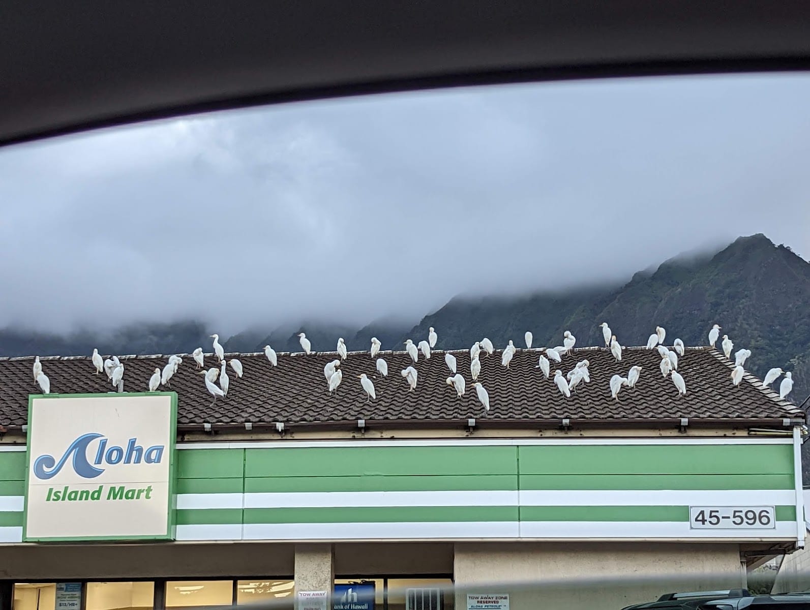 Aloha Island Mart, photo 2
