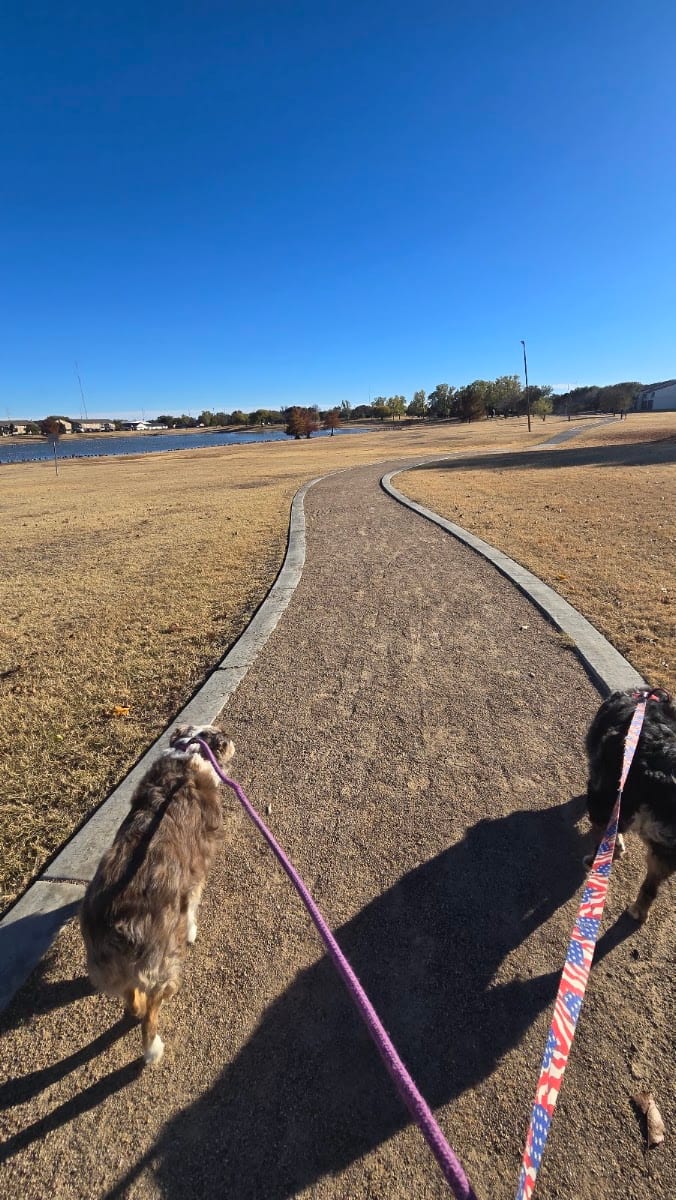 Leftwich Park