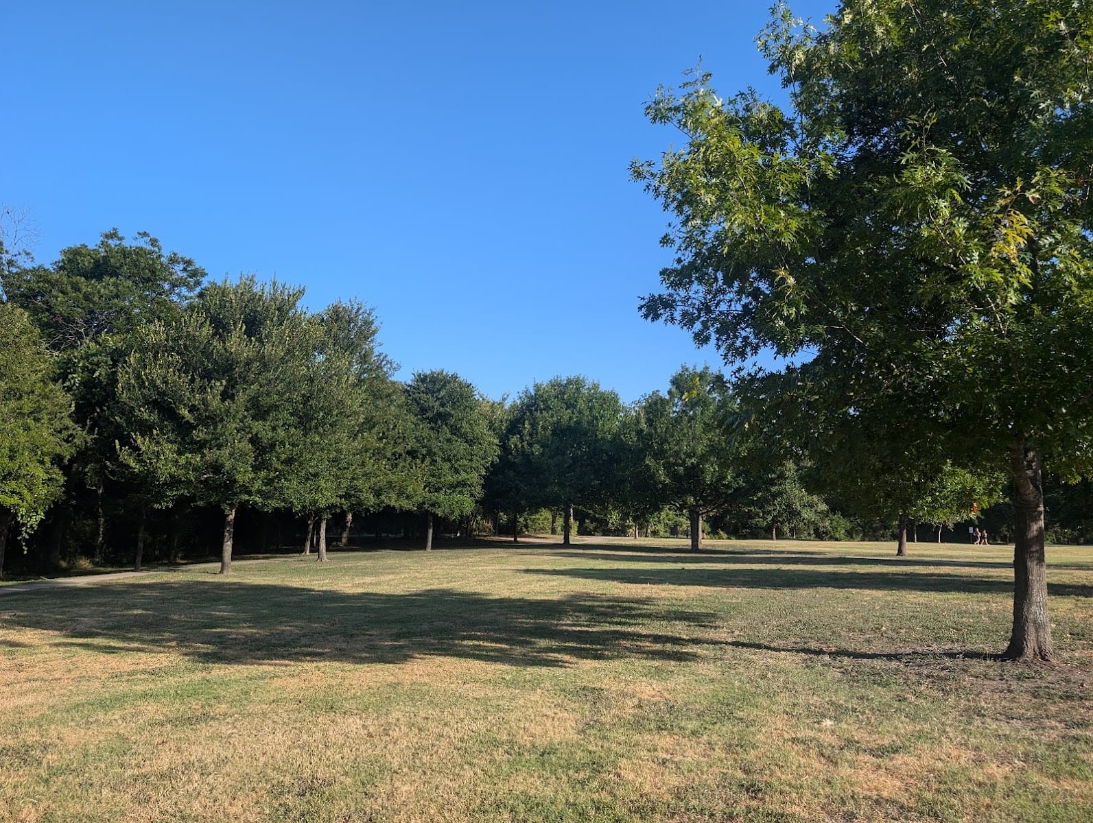 Joe B Freeman Park