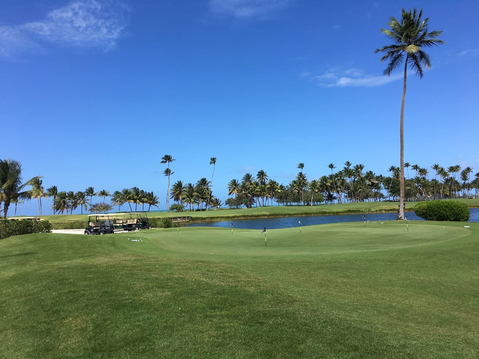 Caribbean Tee Times, photo 4