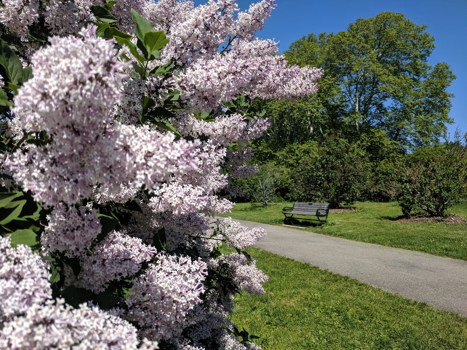 Highland Park