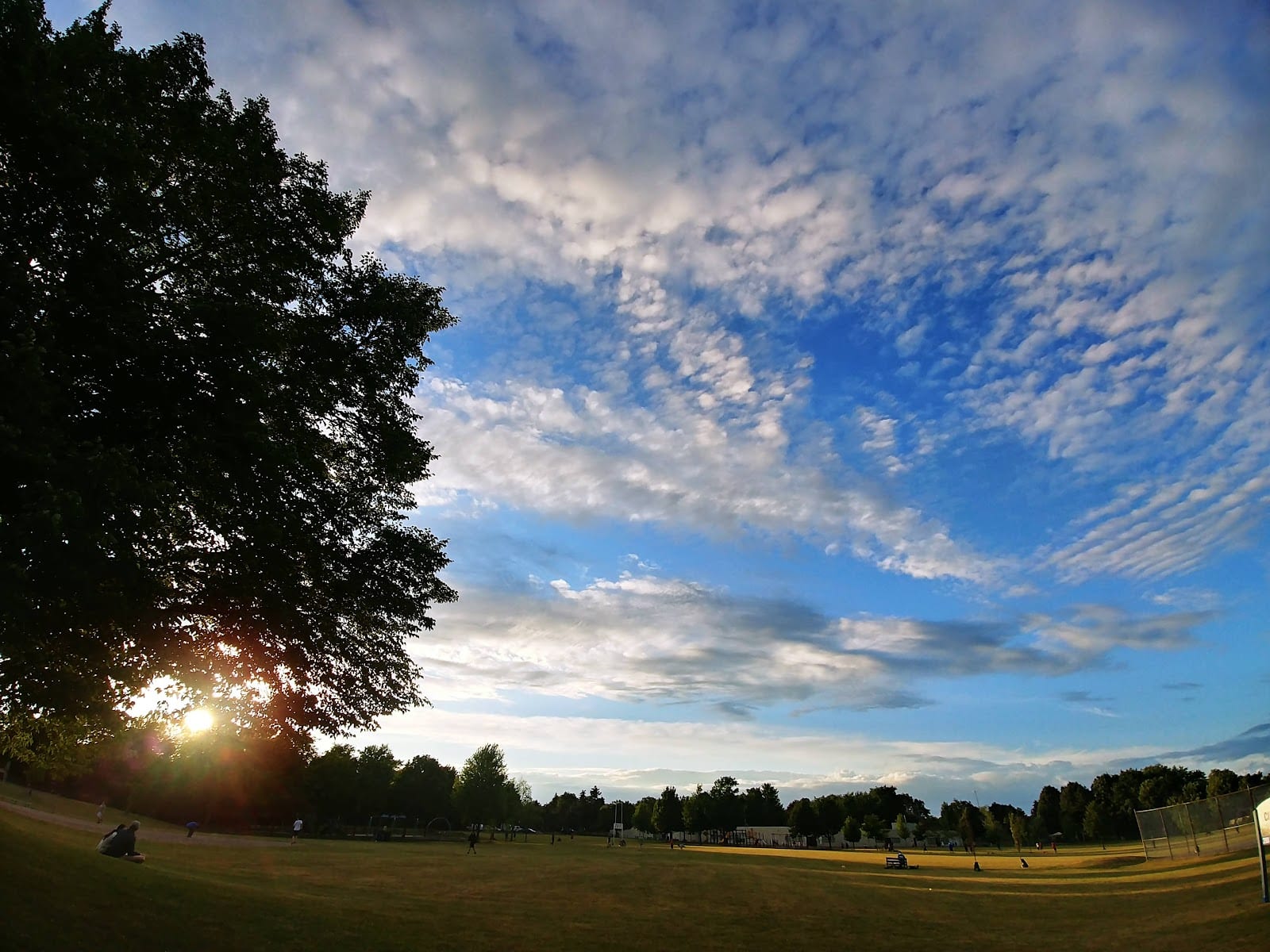 Cliffwood Park