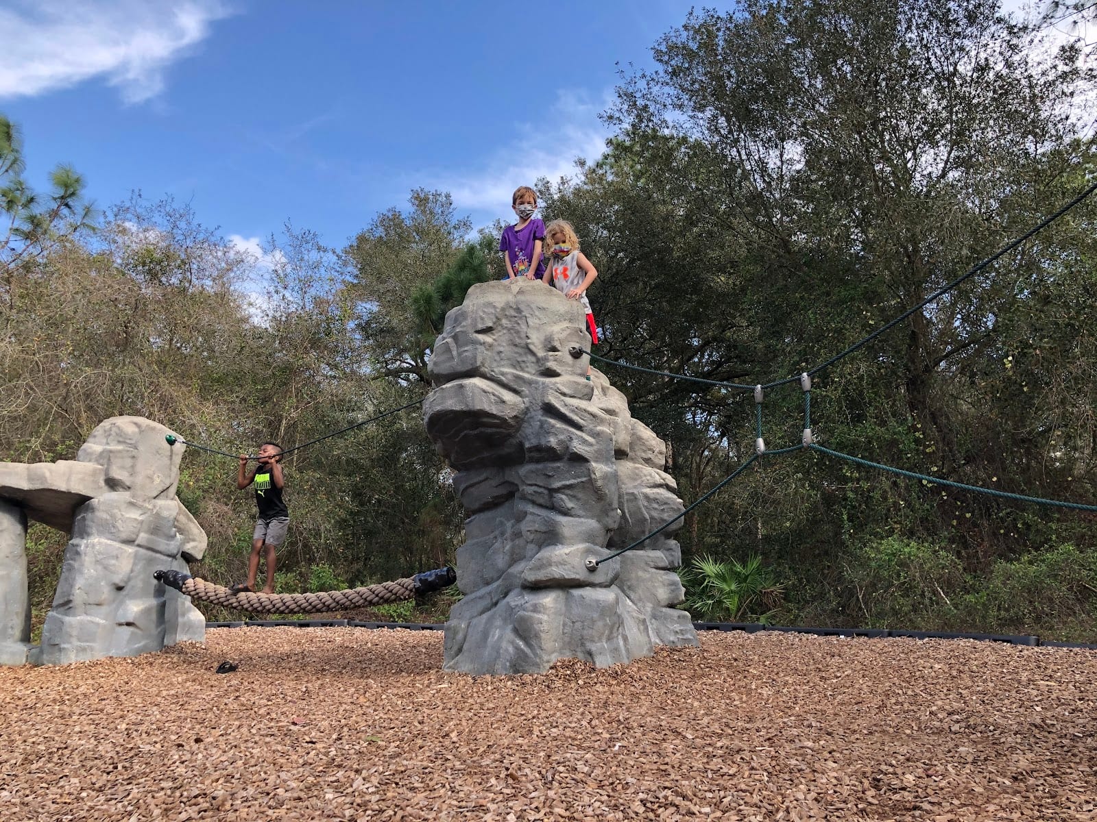 New Tampa Nature Park, photo 3