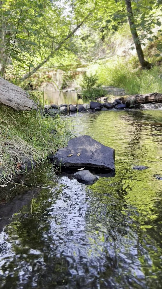Black Lake Meadows Reserve, photo 2