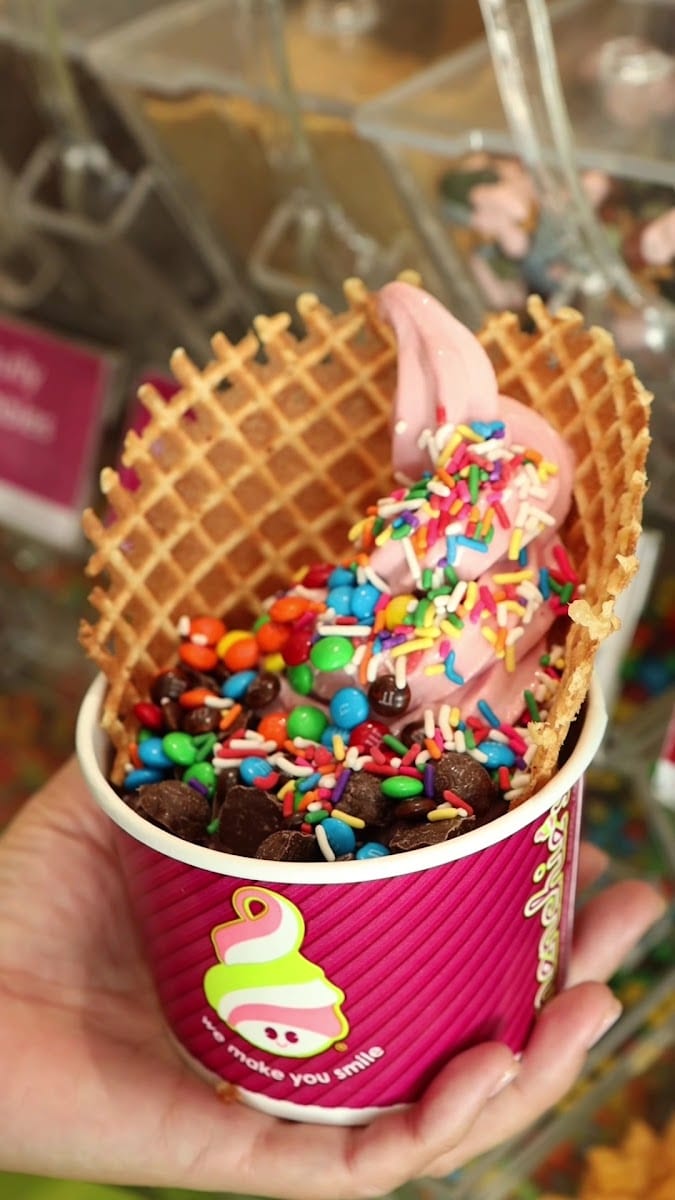 Menchie’s Frozen Yogurt, photo 3