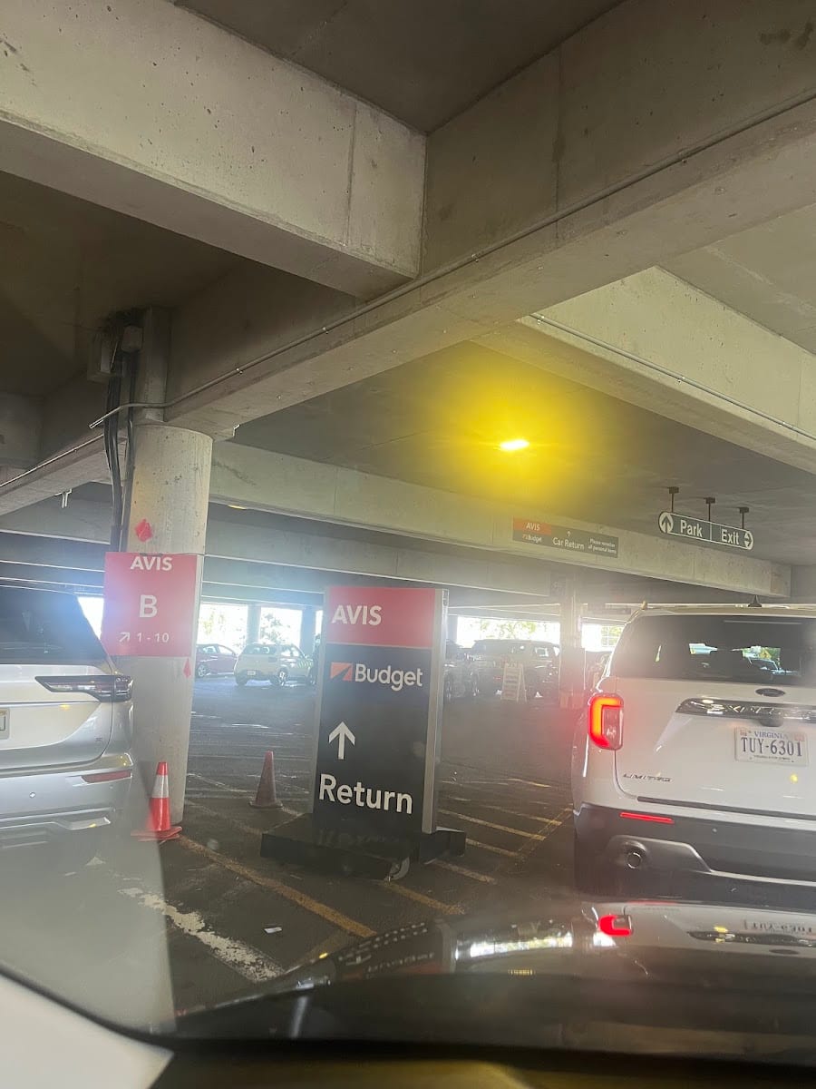 Avis Car Rental